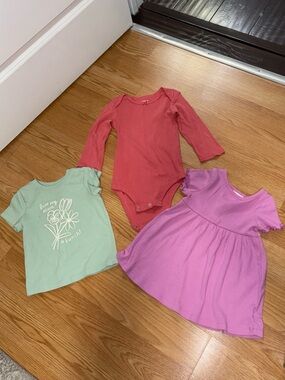 Lot of 3 Baby Girl Pieces Size 18 Months ….243